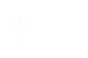 Stadt Sulzbach-Rosenberg